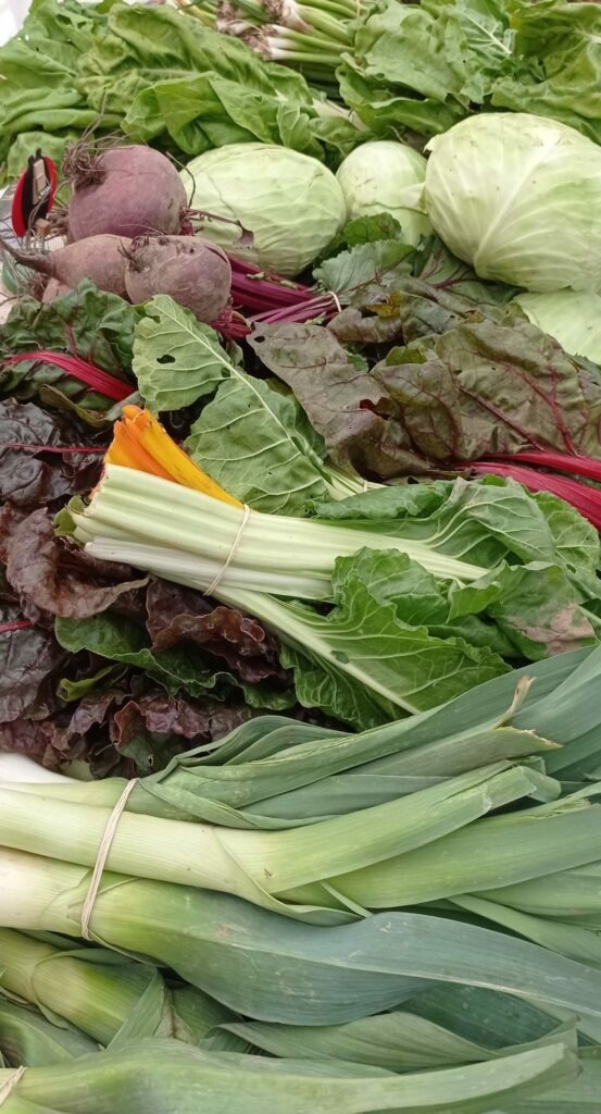 nimble_asset_1616668957088_m-scaled-e1616694303940